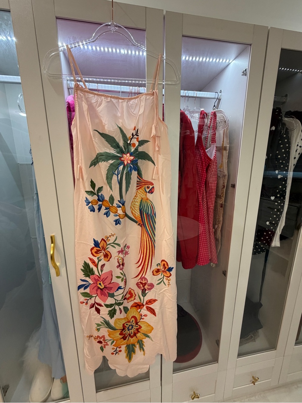 Floral Parrot Embroidered Pink Slip Dress